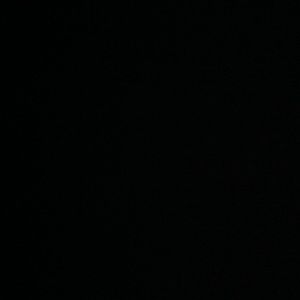 Meet your Posher, Tasha